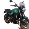 Z_650_RS_22-_NTM1_D_4025066172696_600x600